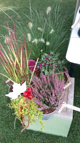 Landesgartenschau 2017